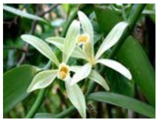 aeb2e8e5259ce6a1d97cd0ed81e52ed6.png aeb2e8e5259ce6a1d97cd0ed81e52ed6.png