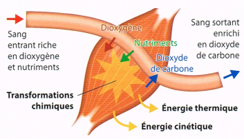 2c3dc9b42bf7ec168bcd6dcfcf3d3070.png 2c3dc9b42bf7ec168bcd6dcfcf3d3070.png