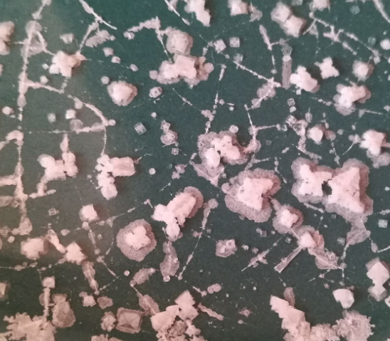 d40d437ffa8c56dd7ec3a3154503f3f8.png d40d437ffa8c56dd7ec3a3154503f3f8.png