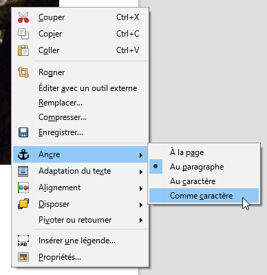Copier coller une image dans LibreOffice [Physix.fr]