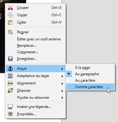 Copier coller une image dans LibreOffice Physix.fr